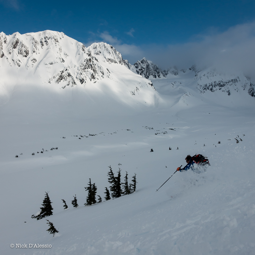 "The Library" is a great place for some learning - guiding in Alaska.