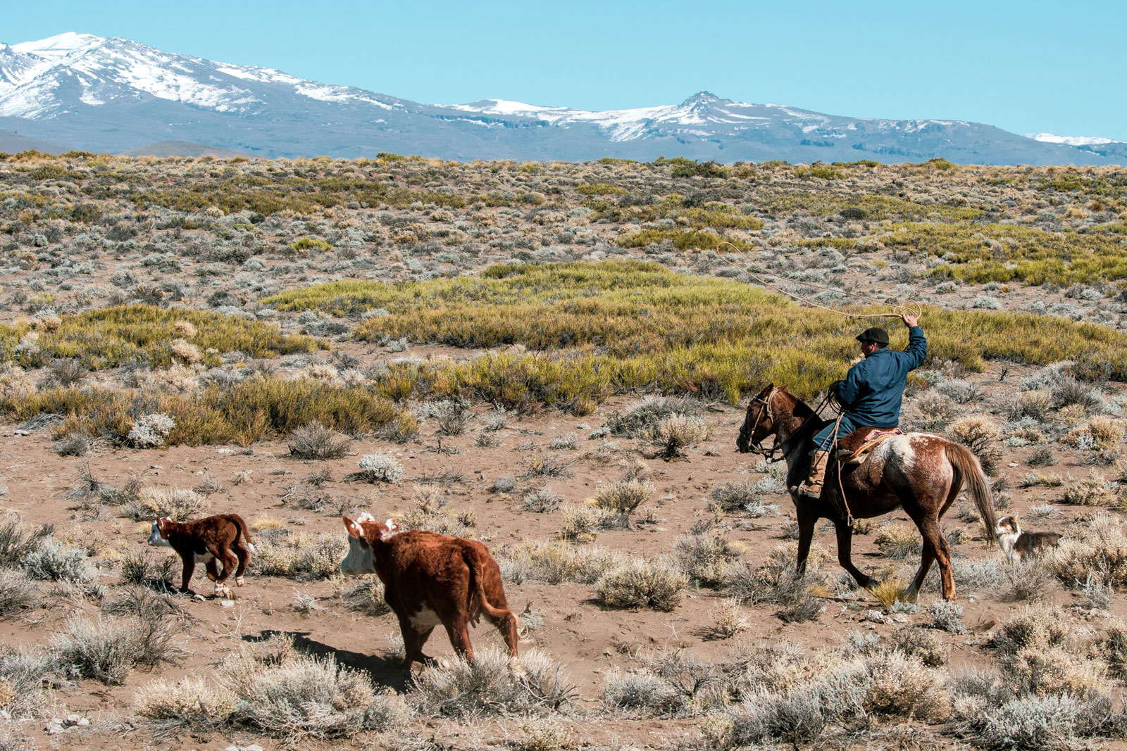 Gaucho. Photo Courtesy: Ben Girardi - Adventure in Argentina