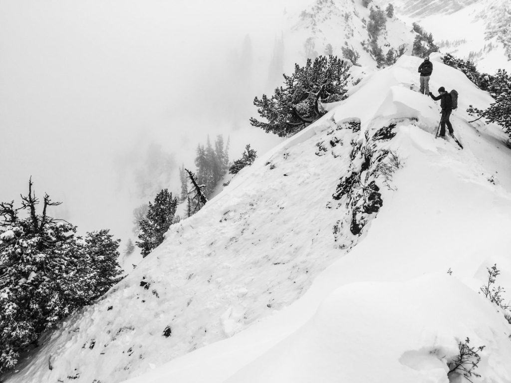 Looking over the ridge to an avalanche slide path.