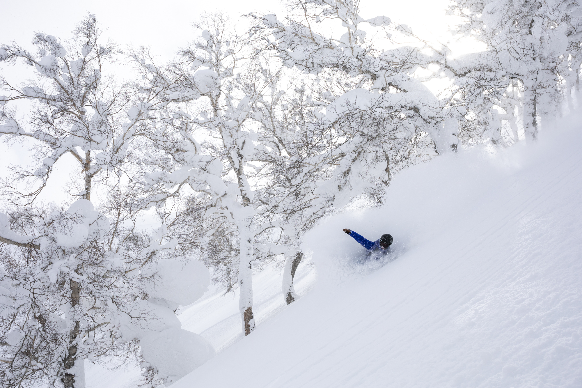 Enjoying the universal language of deep pow Japan backcountry! Photo by Ben Girardi.