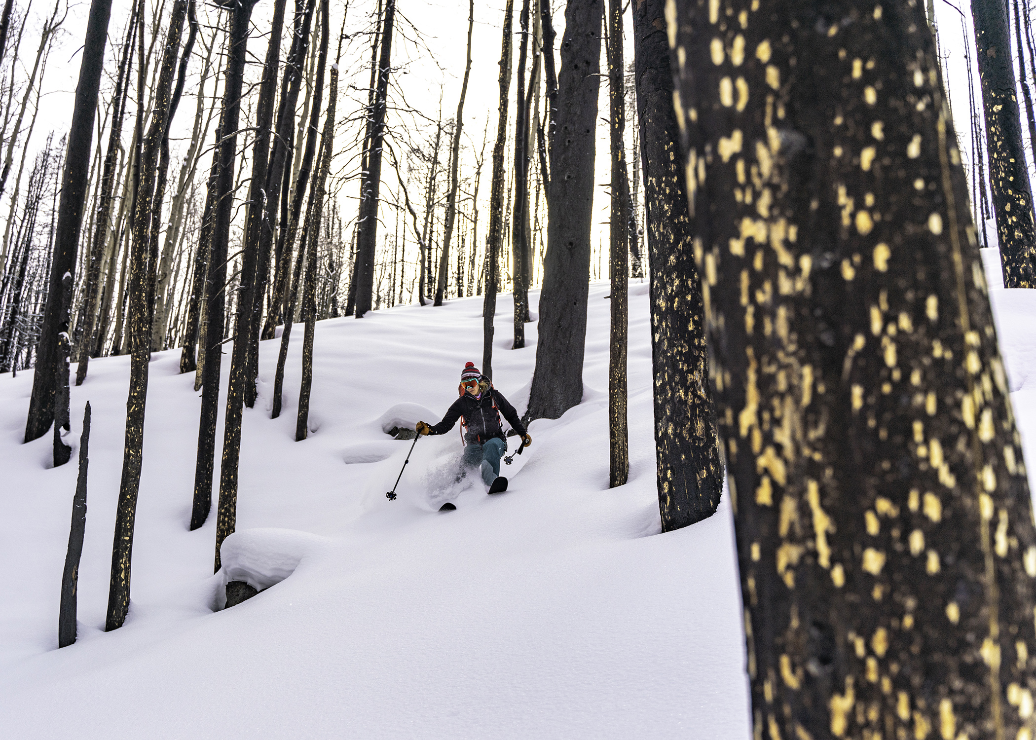 Ann Driggers navigating trees - Women's backcountry skis