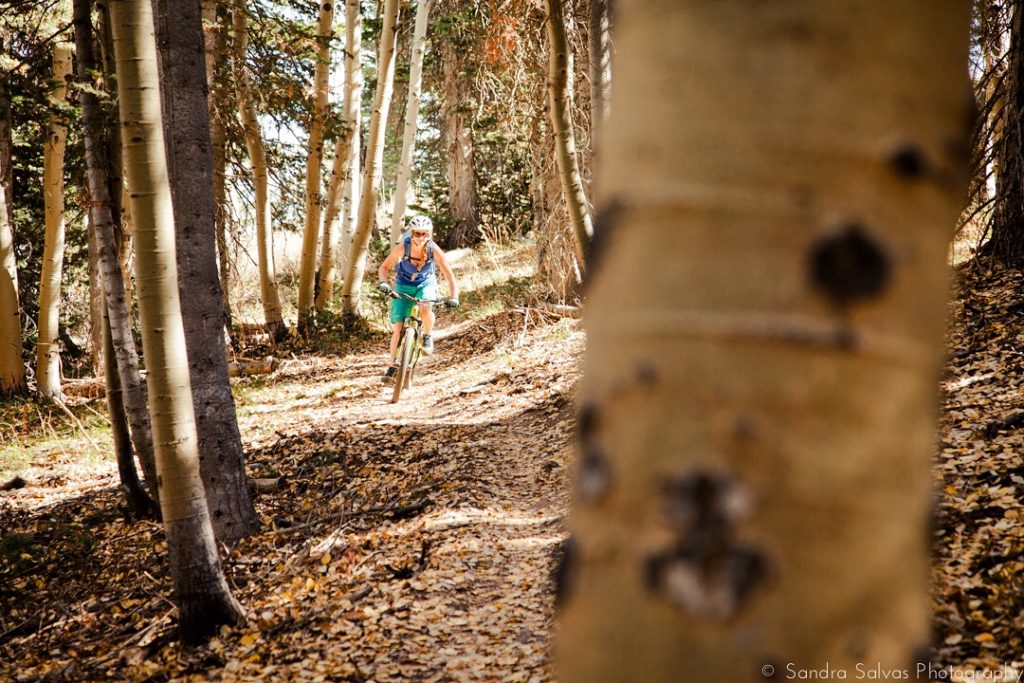 meditation_and_mountaineering_bike