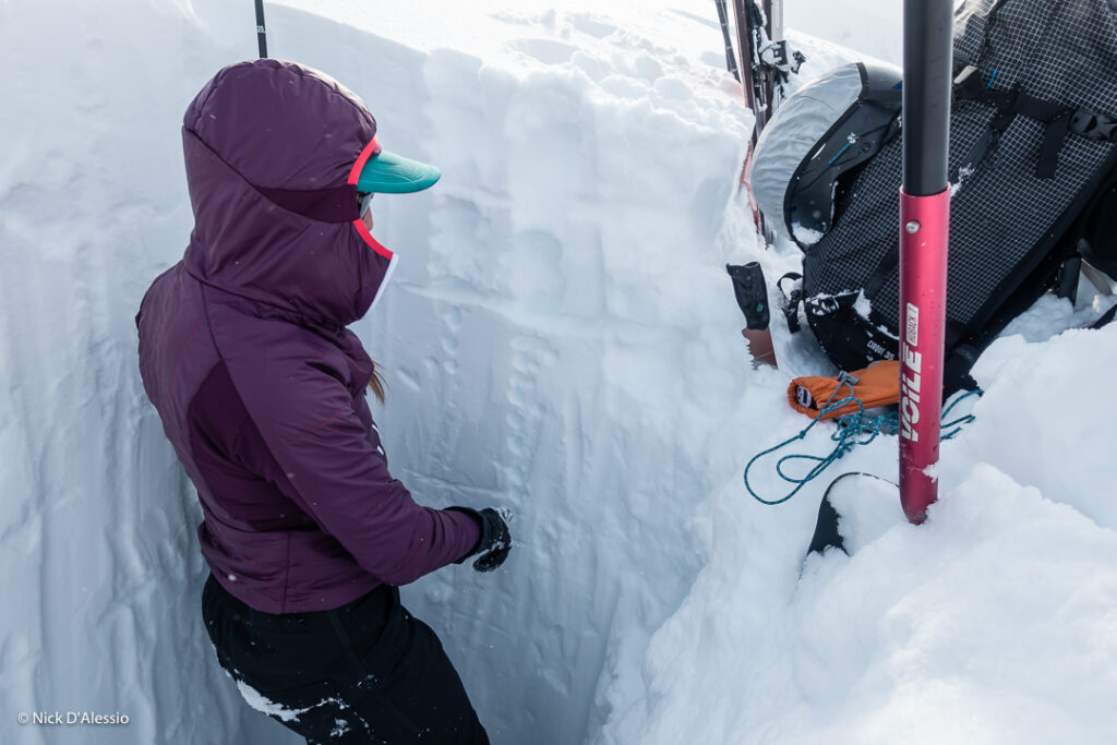 The Voile Avalanche Shovel Voile