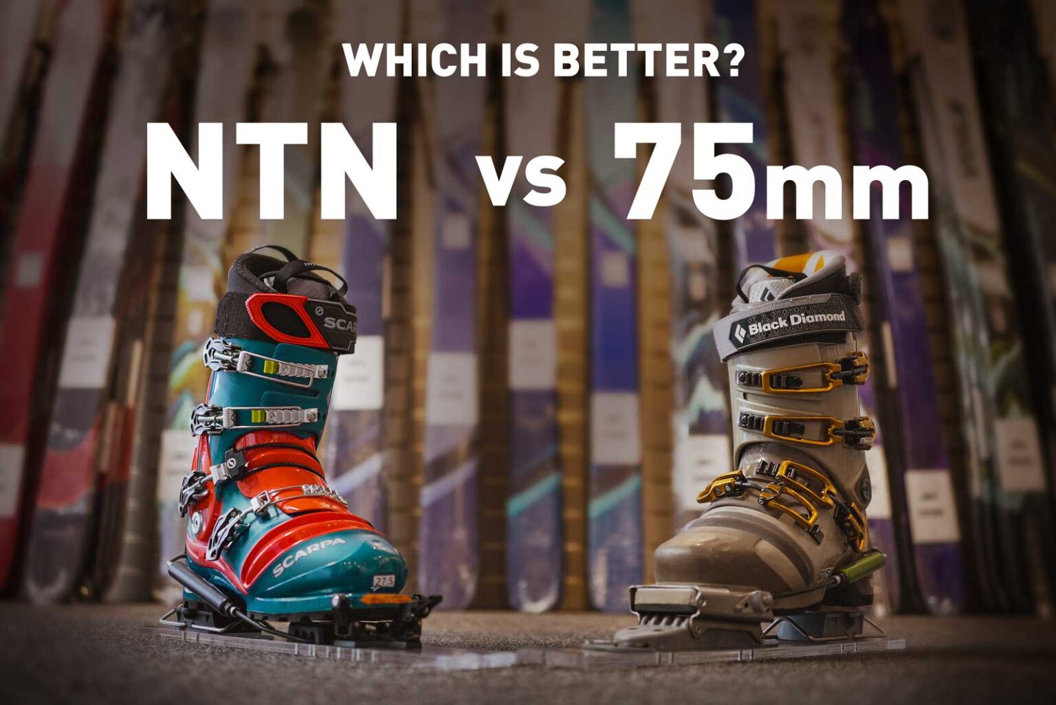 NTN vs 75mm Which is better? Voile