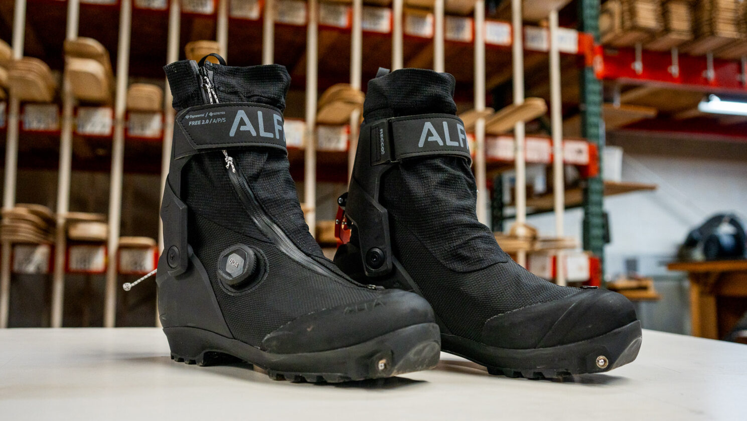 Alfa Free 2.0 First Look Header