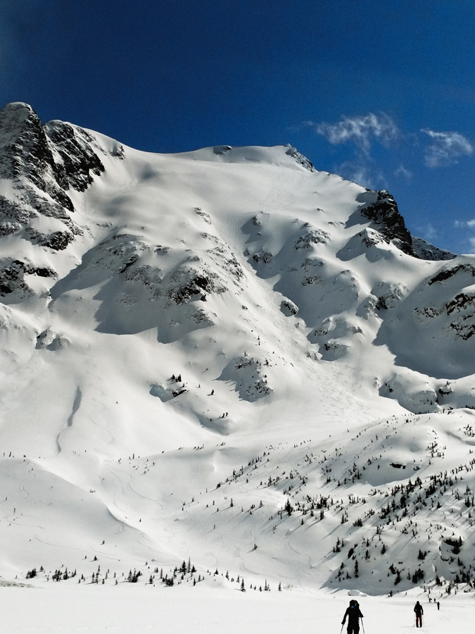 Stonecrop Glacier